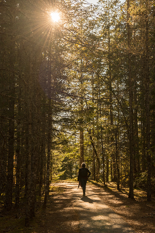 A person walks in a forest.