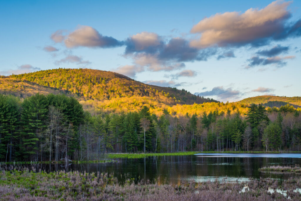 View of nature near Vermont's drug and alcohol rehab center that accepts MVP healthcare plans.